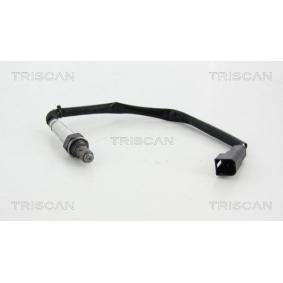 Lambdasonde von TRISCAN