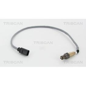 Lambdasonde von TRISCAN