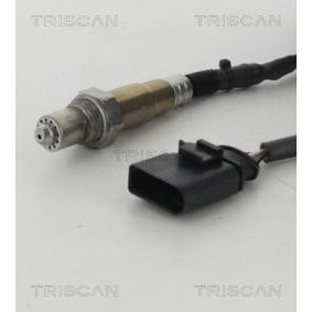 Lambdasonde von TRISCAN