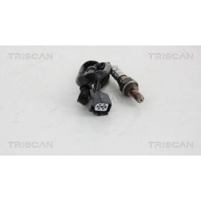 Lambdasonde von TRISCAN