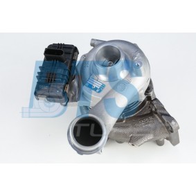 Kjøp Turbolader av BTS TURBO T916191 til den lave prisen 16928,98 NOK