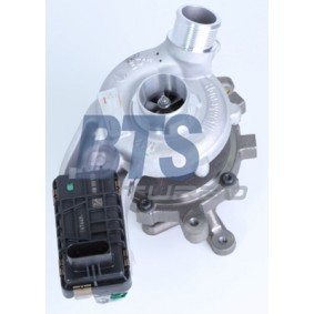 Kjøp Turbolader av BTS TURBO T916542LI til den lave prisen 19581,35 NOK