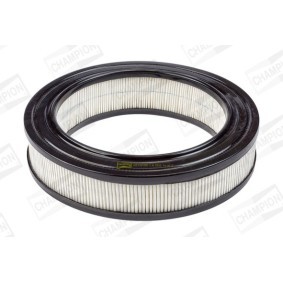 Luftfilter CAF100122R
