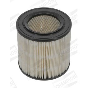 Luftfilter CAF100198R