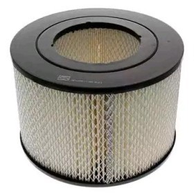 Luftfilter CAF100209R