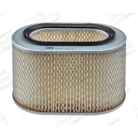 Luftfilter CAF100419C