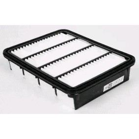 Luftfilter CAF100829P