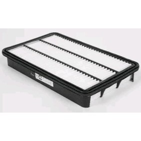 Luftfilter CAF100848P