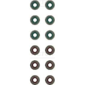 Comprar Juego de juntas, vástago de válvula de REINZ 12-53507-01 a bajo precio de 16,93 €