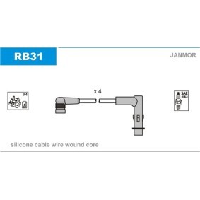 Zündleitungssatz RB31