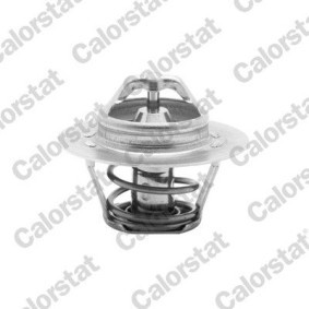 Kühlwasserthermostat von CALORSTAT by Vernet TH5955.88J