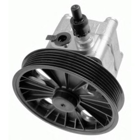 Servopumpe 7613.955.163 von ZF LENKSYSTEME günstig für 392,86 € online kaufen
