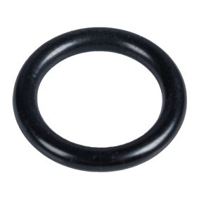 Dichtung, Kraftstoffleitung 43540