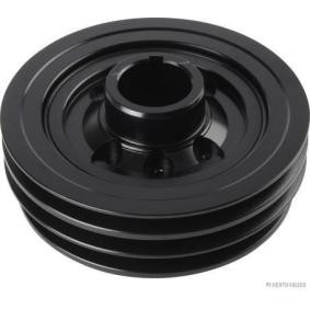 Achetez des Poulie damper (vilebrequin) HERTH+BUSS JAKOPARTS J1095012 à prix pour 75,58 €