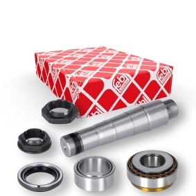 Achetez des Kit d'assemblage, pivot de fusée d'essieu FEBI BILSTEIN 40891 à prix pour 154,93 €