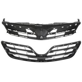 Kühlergrill 6502-07-8116996P