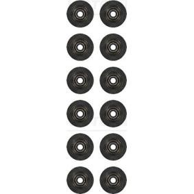 Comprar Juego de juntas, vástago de válvula de REINZ 12-10437-01 a bajo precio de 35,60 €