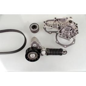 Achetez des Pompe à eau+Jeu de courroie trapézoïdale à nervures GK K980301E à prix pour 252,81 €