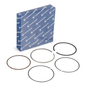Acquista Kit fasce elastiche da KOLBENSCHMIDT 800051410000 a buon mercato per soli 19,05 €