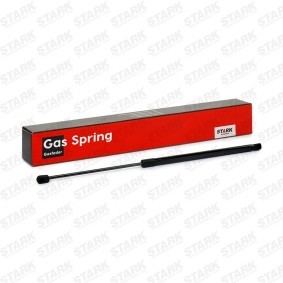 Heckklappendämpfer SKGS-0220246