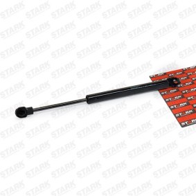 Heckklappendämpfer SKGS-0220229