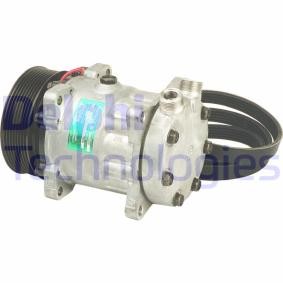 Acquista Compressore aria condizionata da DELPHI TSP0155046K a buon mercato per soli 464,96 €