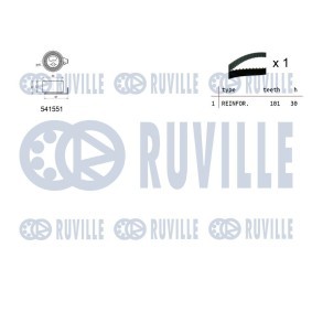 Wasserpumpe von RUVILLE