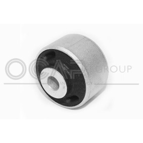 Halter, Querlenkerlagerung 1215155 für SKODA