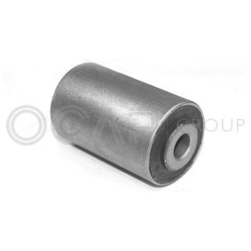 Acquista Supporto, Supporto braccio oscillante da OCAP 1215447 a buon mercato per soli 15,06 €