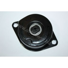 Comprar Brazo tensor, correa poli V de AUTOMEGA 309030315028R a bajo precio de 27,78 €