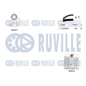 Achetez des Pompe à eau RUVILLE 67302 à prix pour 30,96 €