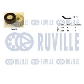 Achetez des Pompe à eau RUVILLE 65889 à prix pour 48,73 €