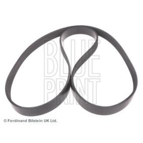 Achetez des Courroie Poly-V BLUE PRINT ADG09623 à prix pour 23,45 €