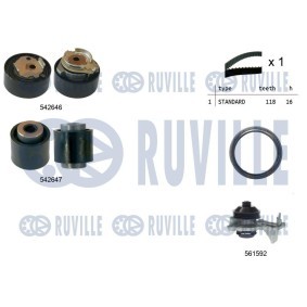 Wasserpumpe von RUVILLE
