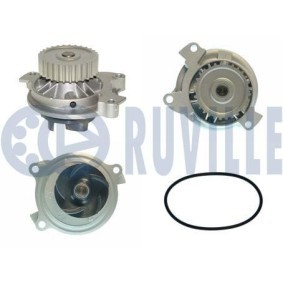 Achetez des Pompe à eau RUVILLE 65811 à prix pour 52,82 €