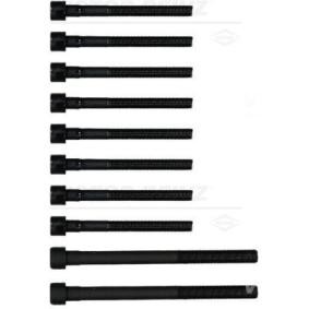 Compre Jogo de parafusos da cabeça do motor da REINZ 14-55097-01 a um preço baixo por 43,94 €