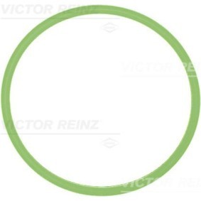 Ansaugkrümmerdichtung von REINZ für Cayenne (92A) günstig online kaufen
