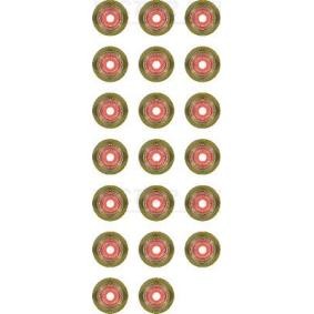 Comprar Juego de juntas, vástago de válvula de REINZ 12-36208-02 a bajo precio de 40,37 €