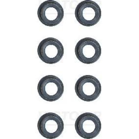 Comprar Juego de juntas, vástago de válvula de REINZ 12-53034-01 a bajo precio de 17,77 €