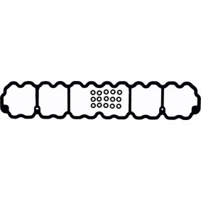 Comprar Juego de juntas, tapa de culata de cilindro de REINZ 15-35443-01 a bajo precio de 46,71 €