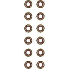 Comprar Juego de juntas, vástago de válvula de REINZ 12-54023-02 a bajo precio de 18,12 €
