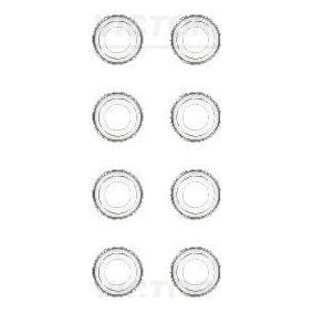 Comprar Juego de juntas, vástago de válvula de REINZ 12-25792-02 a bajo precio de 16,54 €