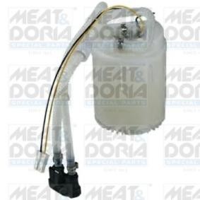 Schlingertopf, Kraftstoffpumpe 76909