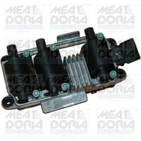 Zündspule von MEAT & DORIA