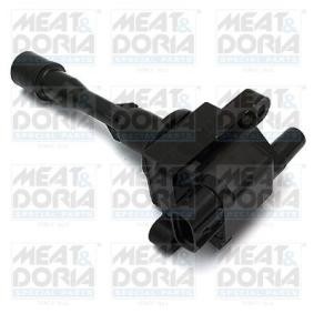 Zündspule von MEAT & DORIA 10694