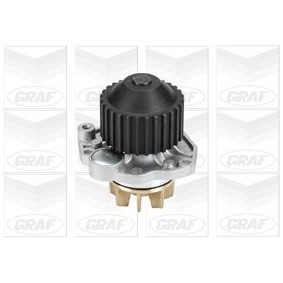 Acquista Pompa acqua da GRAF PA153 a buon mercato per soli 33,27 €