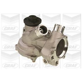 Comprar Bomba de agua de GRAF PA580 a bajo precio de 135,02 €