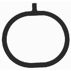 Ansaugkrümmerdichtung X89790-01