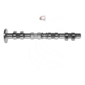 Nockenwelle von CAMPRO