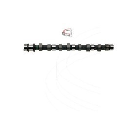 Nockenwelle von CAMPRO
